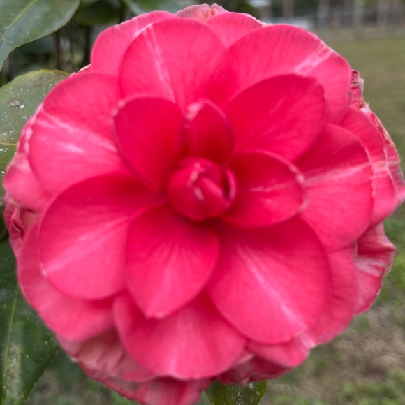 Meet your Posher, Super Katie Love 💟☮️ - Picture 2 of 2